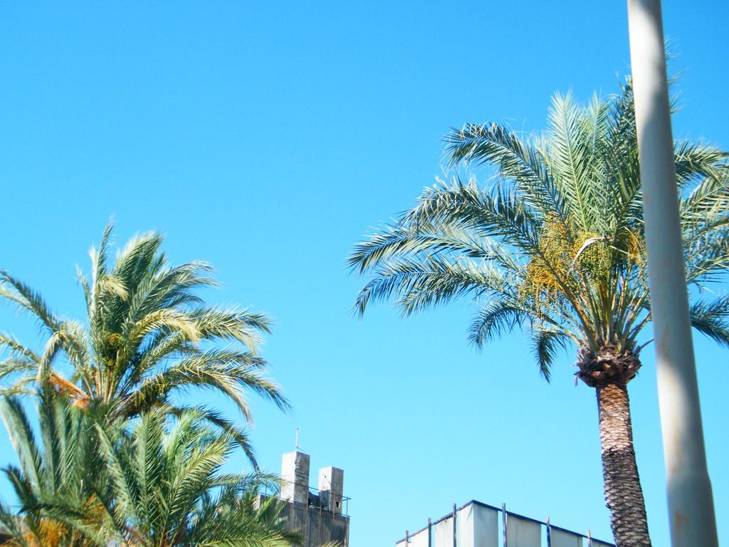 Appartamento Vacanze I Provenzali Bordighera Exteriör bild